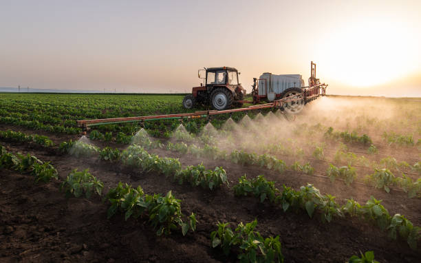 Bird Control in Jacinto City, TX